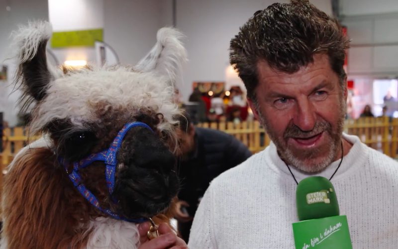 Alpaka-Expo in der Grazer Messe