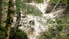 Ein Stück Österreich: Die Wildnis