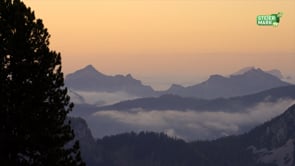 Naturfreunde Jahreshauptversammlung