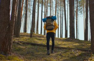 Erich Frischenschlager: Wandern