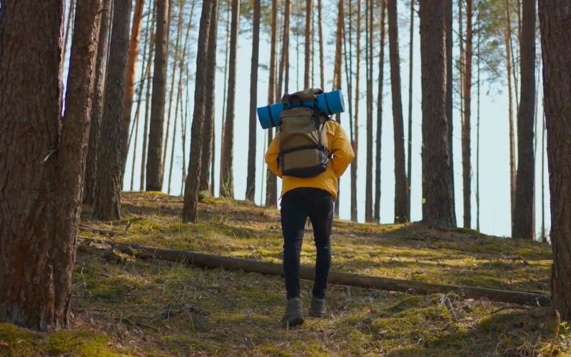 Erich Frischenschlager: Wandern