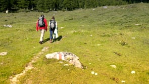 Bergrettung auf der Rax