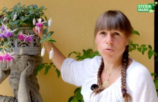 Garten Tipp: Bewässerung