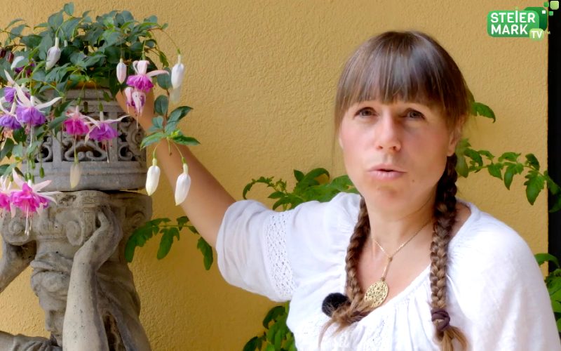 Garten Tipp: Bewässerung
