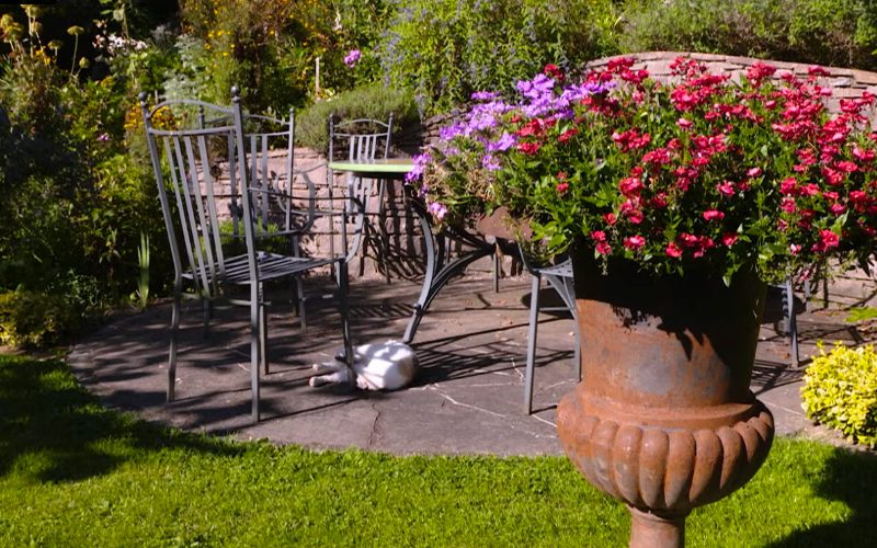 Gartentipp: Genießen mit allen Sinnen