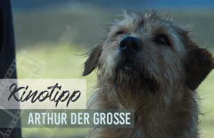 KINOTIPP | Arthur der Große