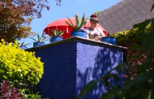 Garten Tipp: Farben und Wirkung