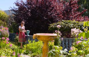 Garten-Tipp: Sichtachsen