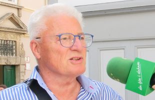 Straßenumfrage: Tag der Katze