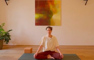 Was ist Yoga. Asanas zum Mitmachen.